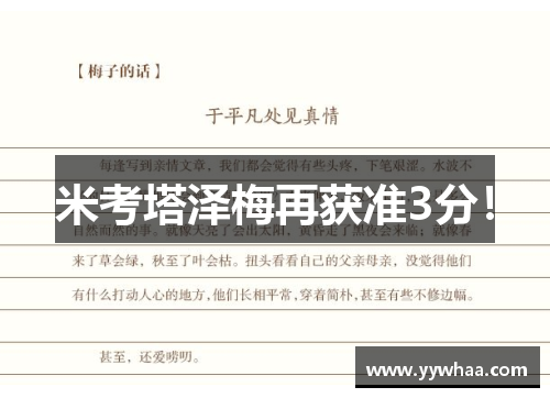 米考塔泽梅再获准3分！